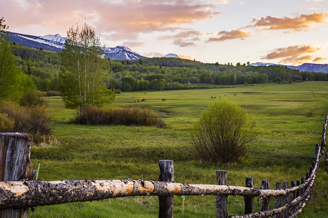 Owl Creek Media Works